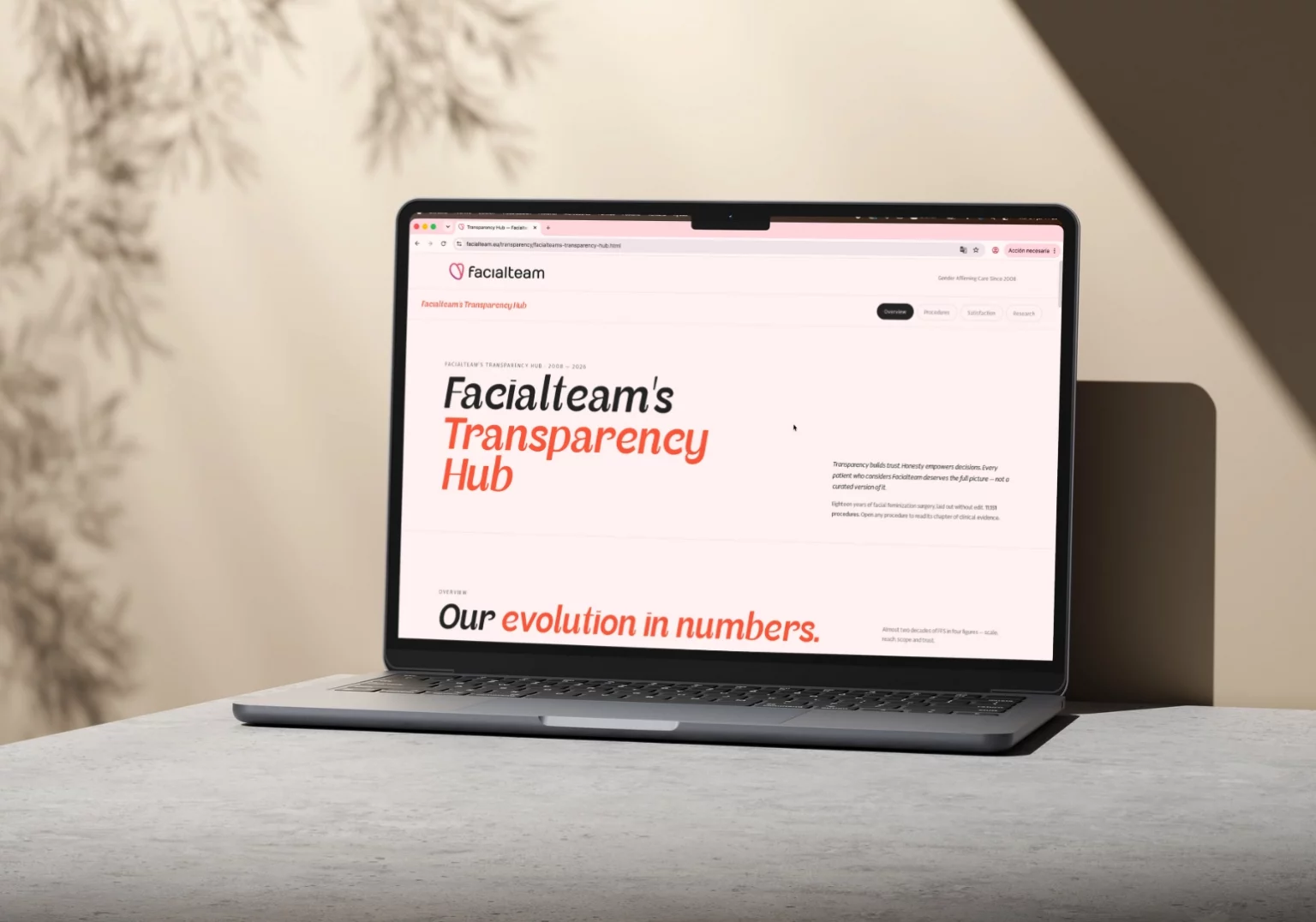 Facialteam's Transparency Hub Mockup